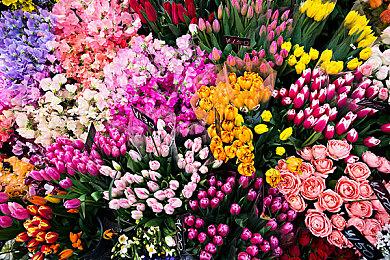 超级人类激活码怎么获得？在哪里下载？需要加速器吗？